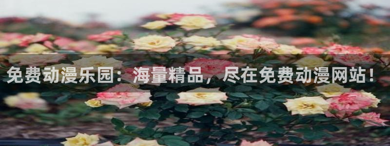 琦琦的动漫屋：免费动漫乐园：海量精品，尽在免费动漫网站！