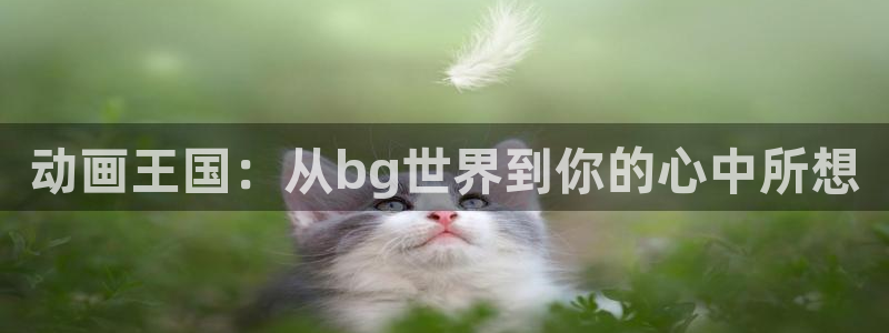 菲洛动漫屋：动画王国：从bg世界到你的心中所想